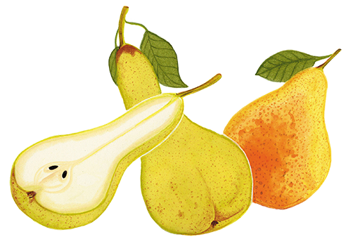 pia taccone fruits et legumes pera